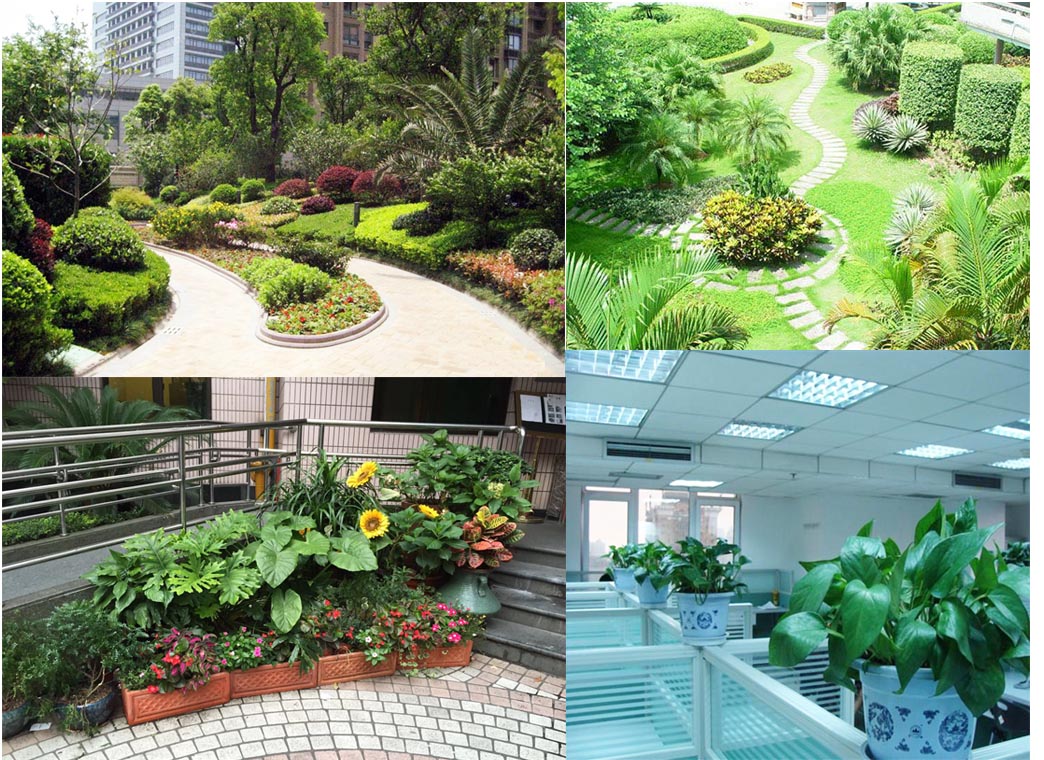 大唐集团园区植物墙项目-上海雅腾绿化有限公司